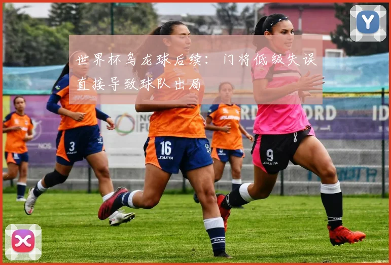 世界杯乌龙球后续:门将低级失误直接导致球队出局